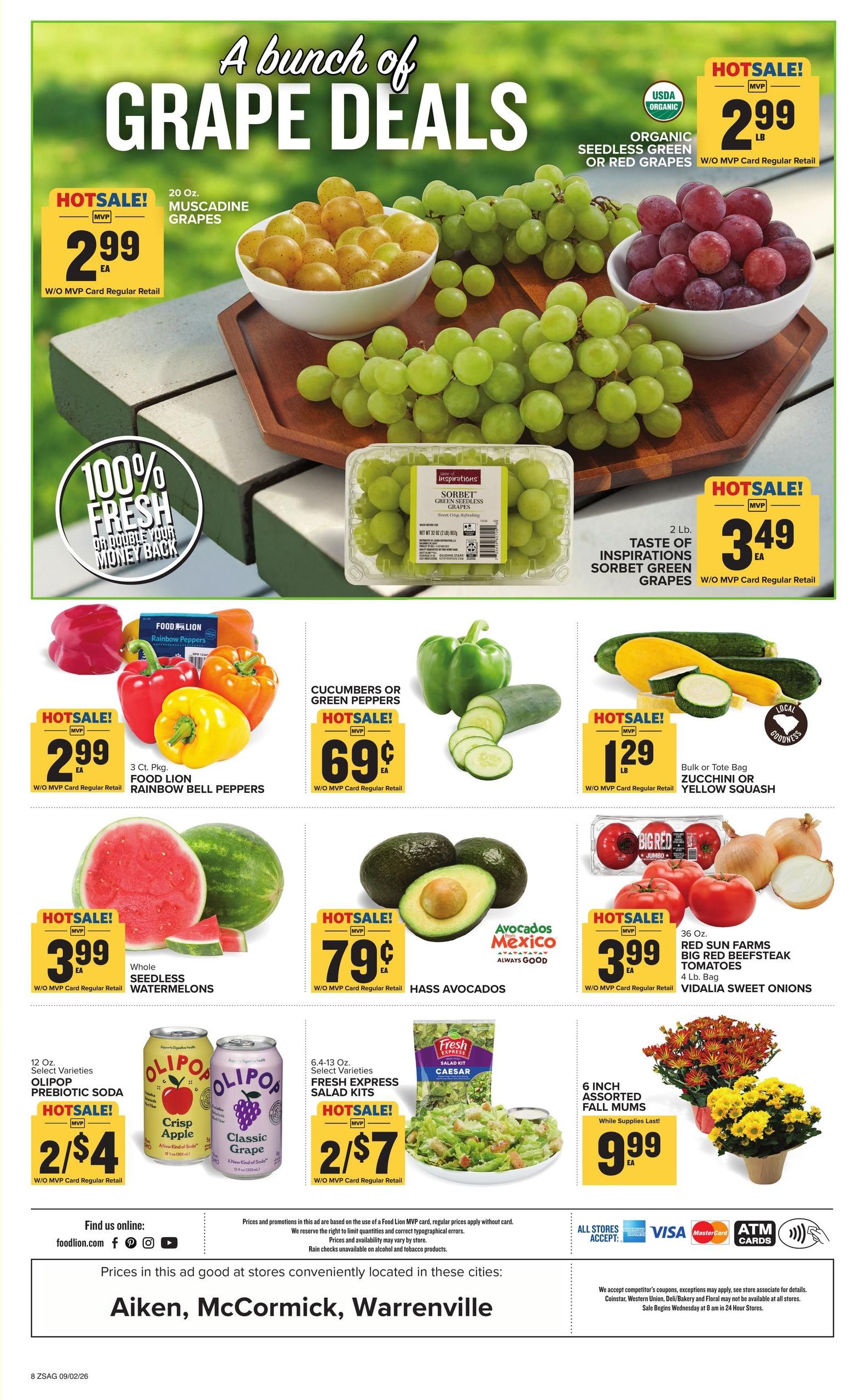Food Lion (Aiken Area, SC) Weekly Ad September 2 - 8, 2026