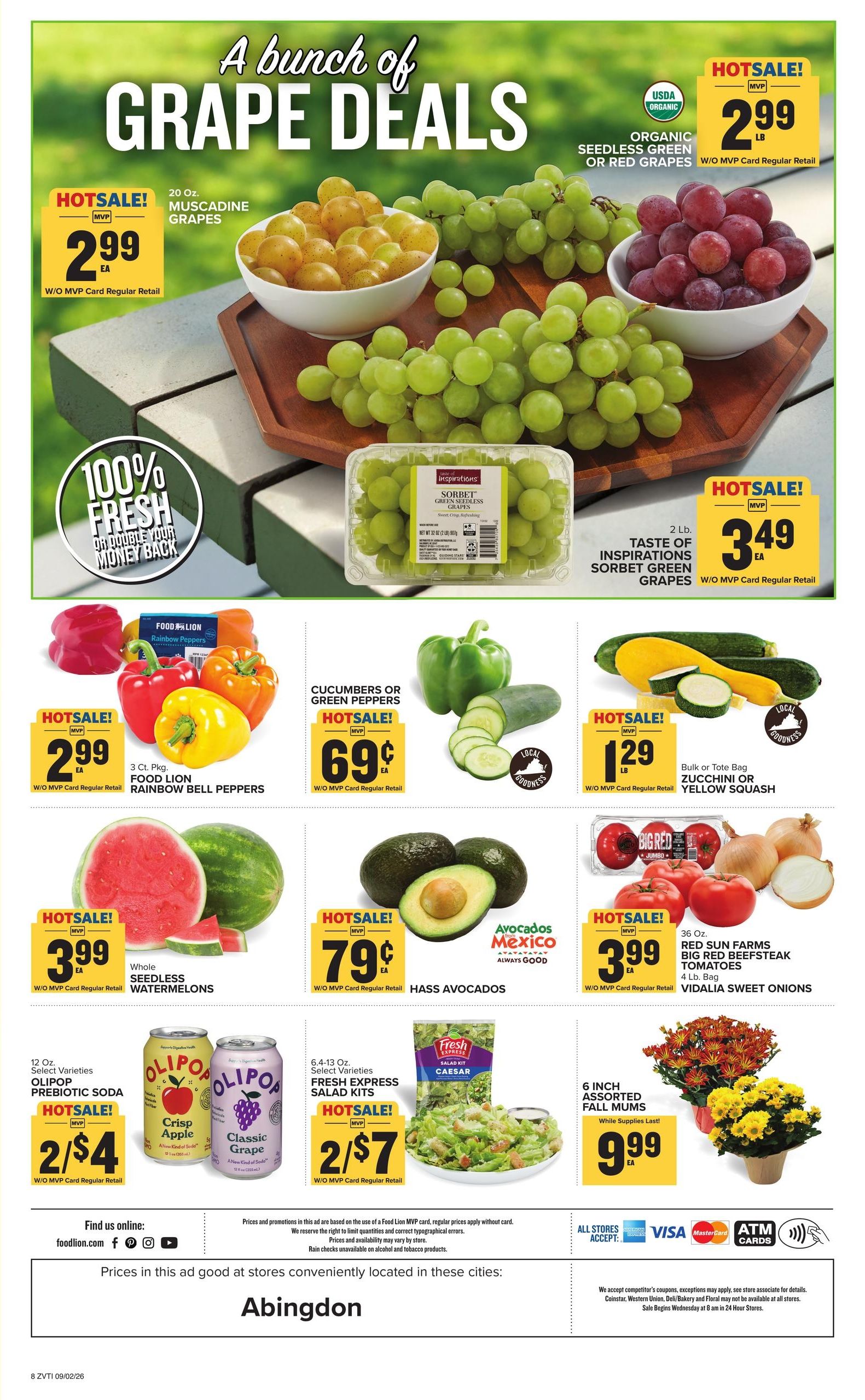 Food Lion (Bristol-Saint Paul Area, VA) Weekly Ad September 2 - 8, 2026