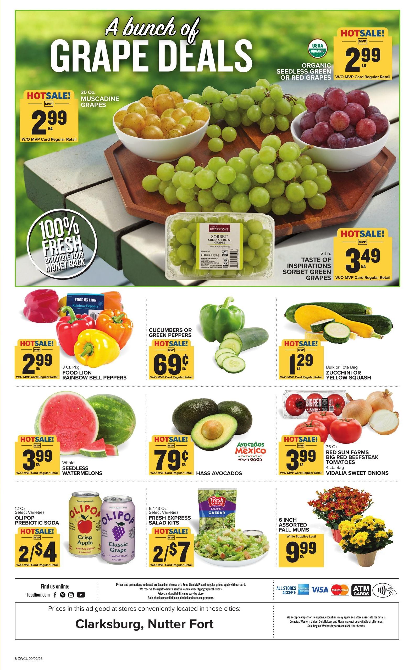 Food Lion (Bridgeport Area, WV) Weekly Ad September 2 - 8, 2026