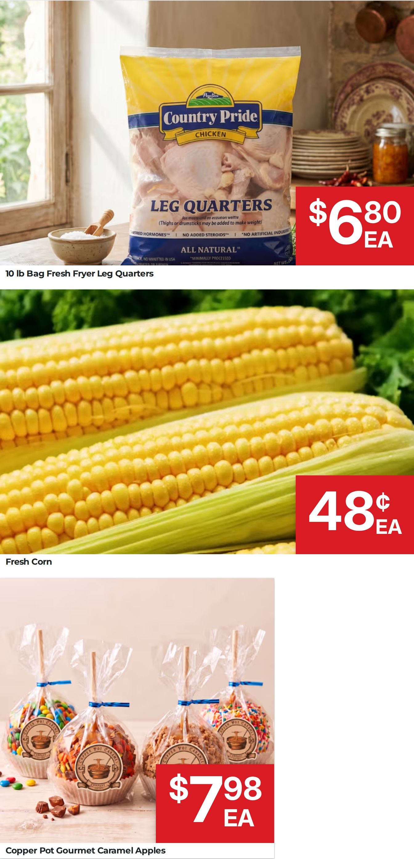 Valdosta Cost Plus Weekly Ad September 1 - 8, 2026