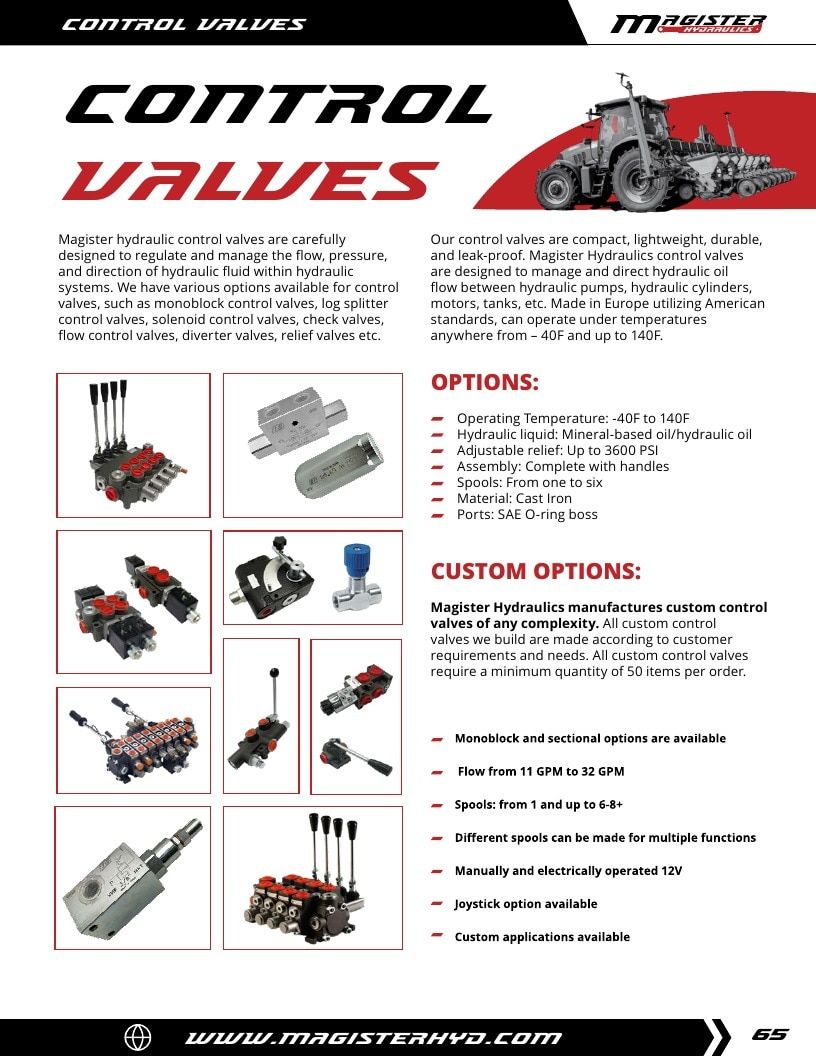 Magister Hydraulics Hydraulic Cylinders Catalog Weekly Ad January 1 - December 31, 2026