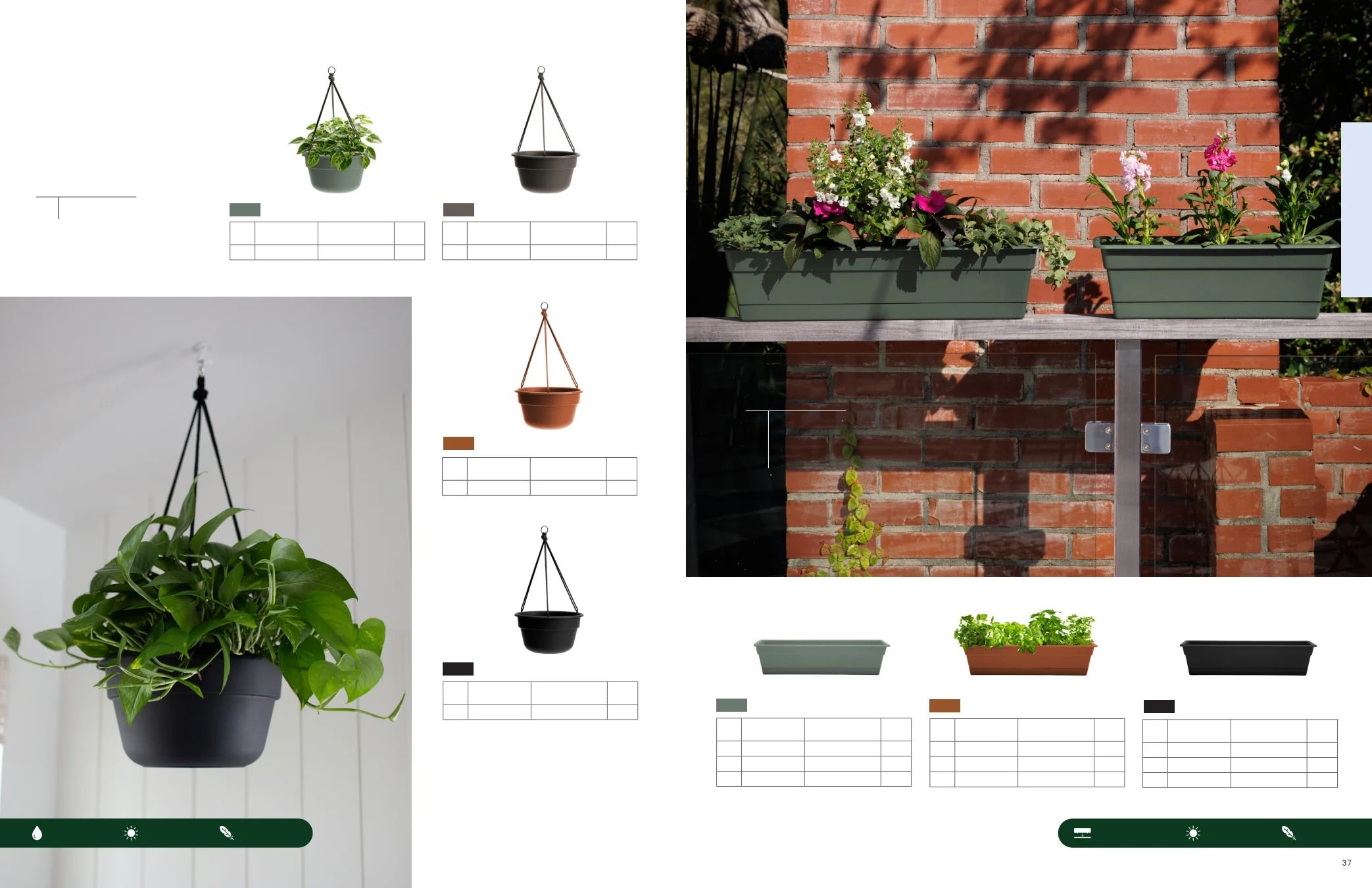 Bloem Living Planters Catalog Weekly Ad January 1 - December 31, 2026