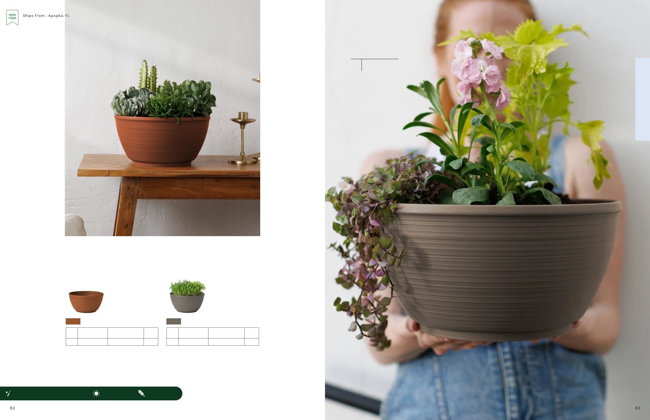 Bloem Living Planters Catalog Weekly Ad January 1 - December 31, 2026