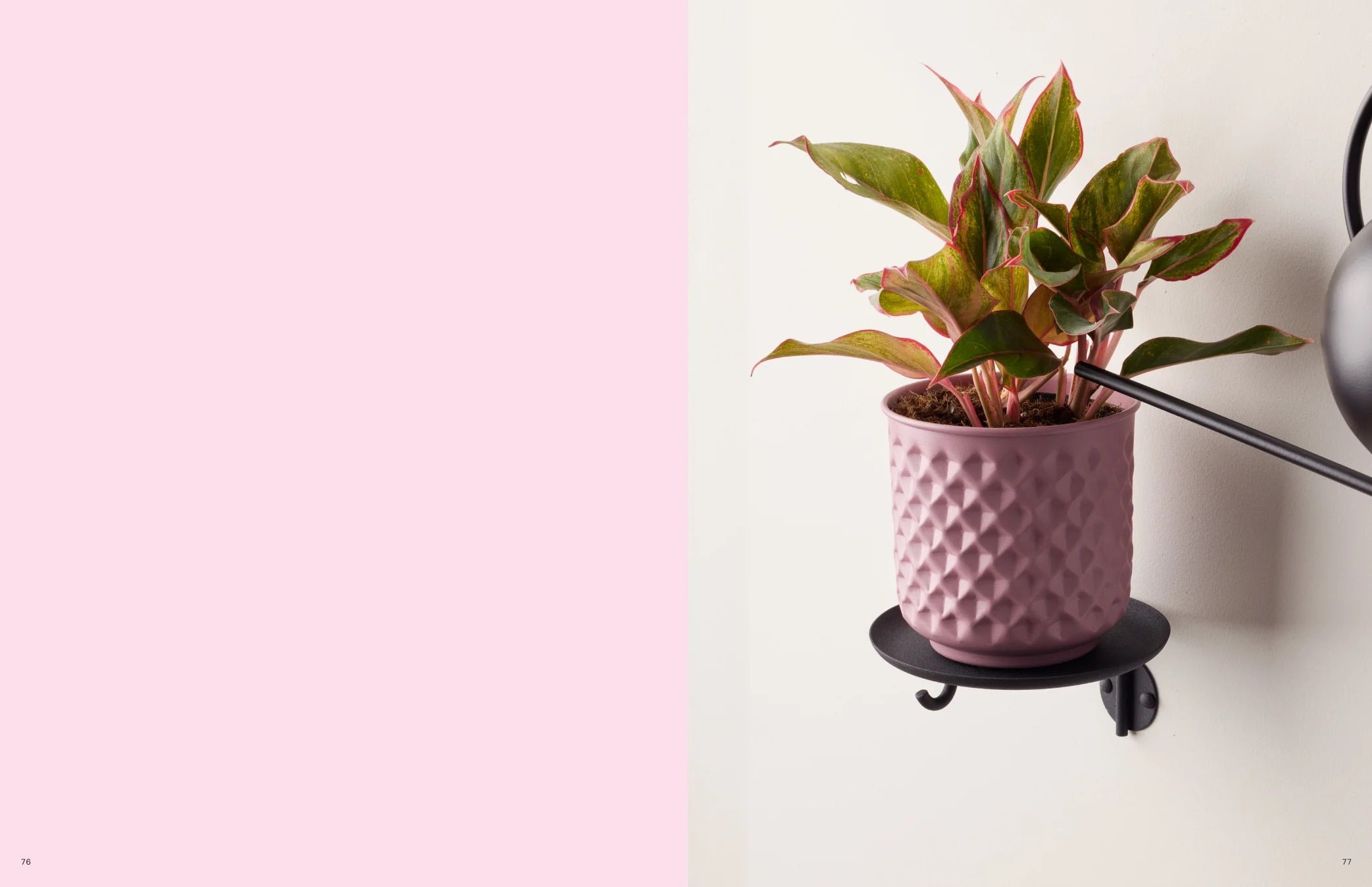 Bloem Living Planters Catalog Weekly Ad January 1 - December 31, 2026