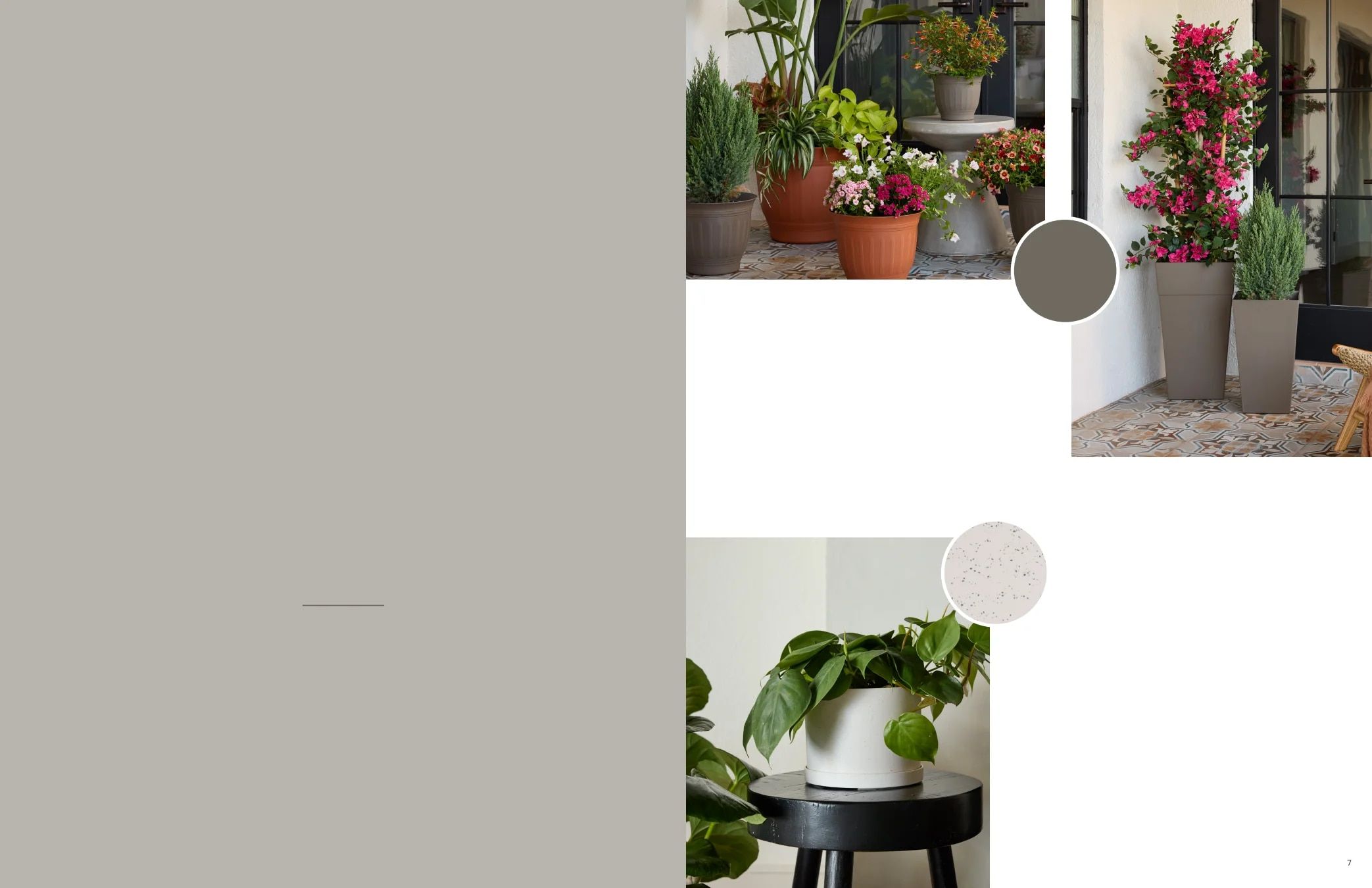 Bloem Living Planters Catalog Weekly Ad January 1 - December 31, 2026