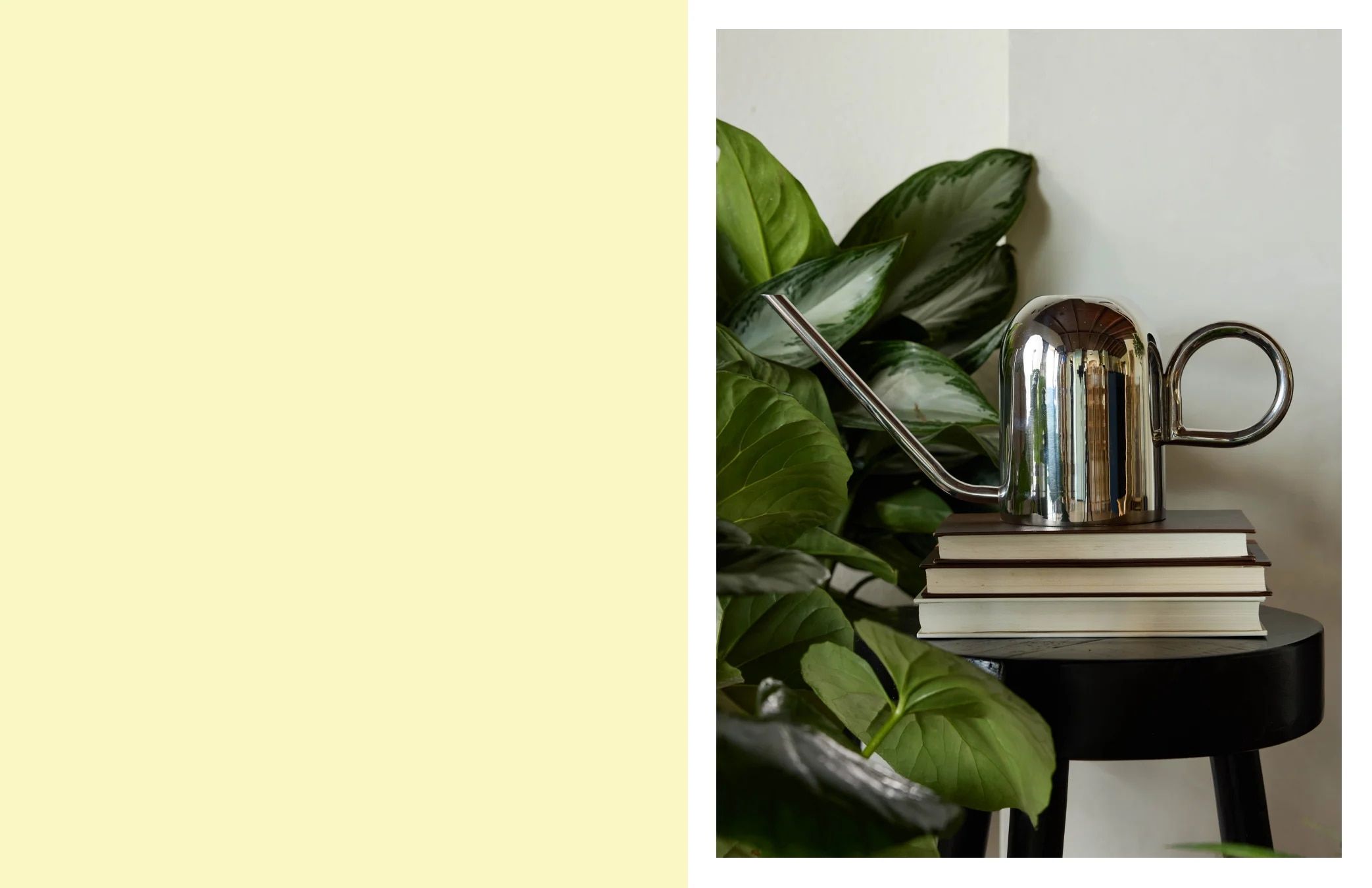 Bloem Living Planters Catalog Weekly Ad January 1 - December 31, 2026
