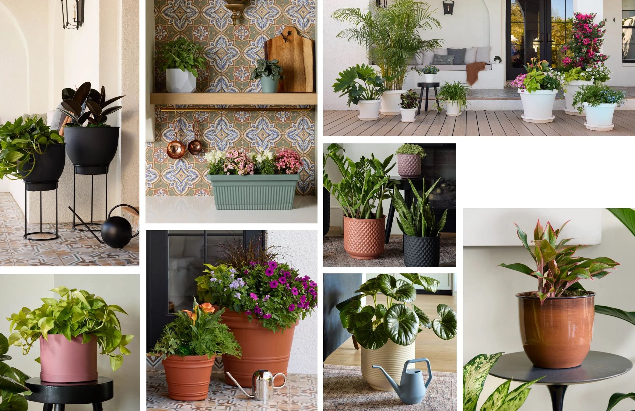 Bloem Living Planters Catalog Weekly Ad January 1 - December 31, 2026