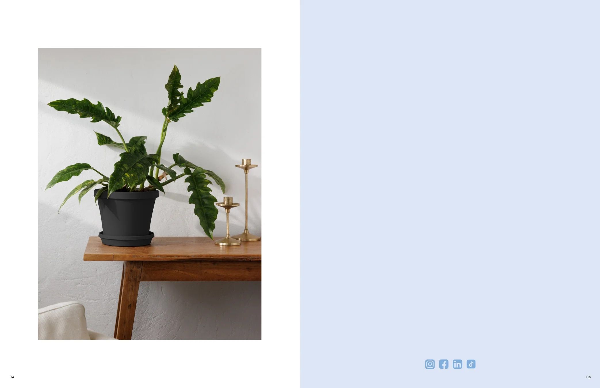 Bloem Living Planters Catalog Weekly Ad January 1 - December 31, 2026