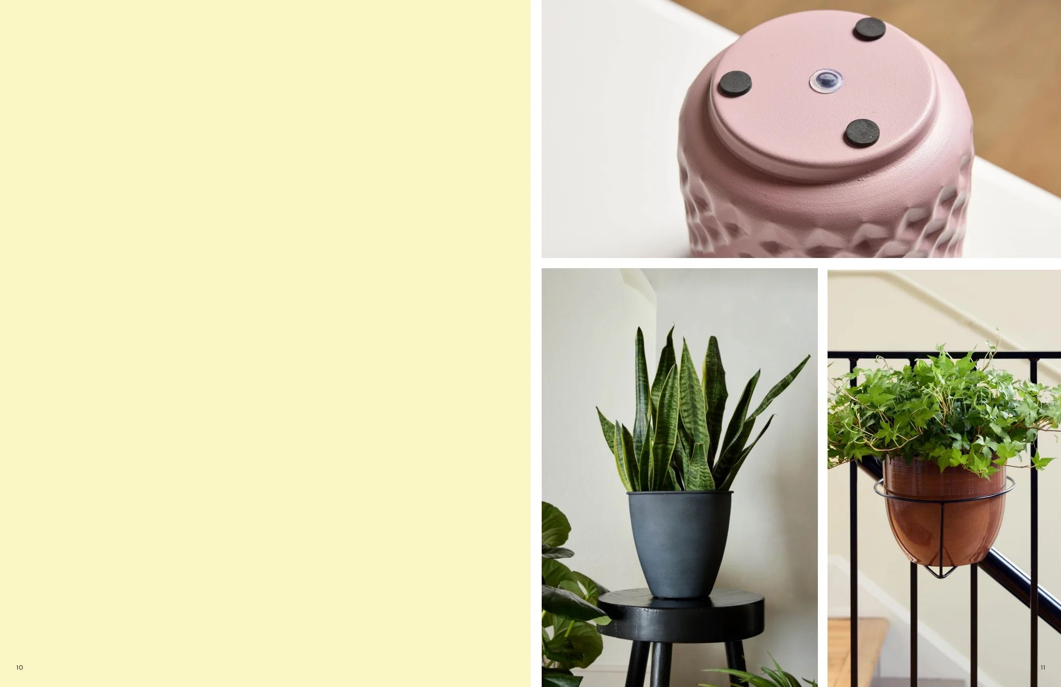 Bloem Living Planters Catalog Weekly Ad January 1 - December 31, 2026