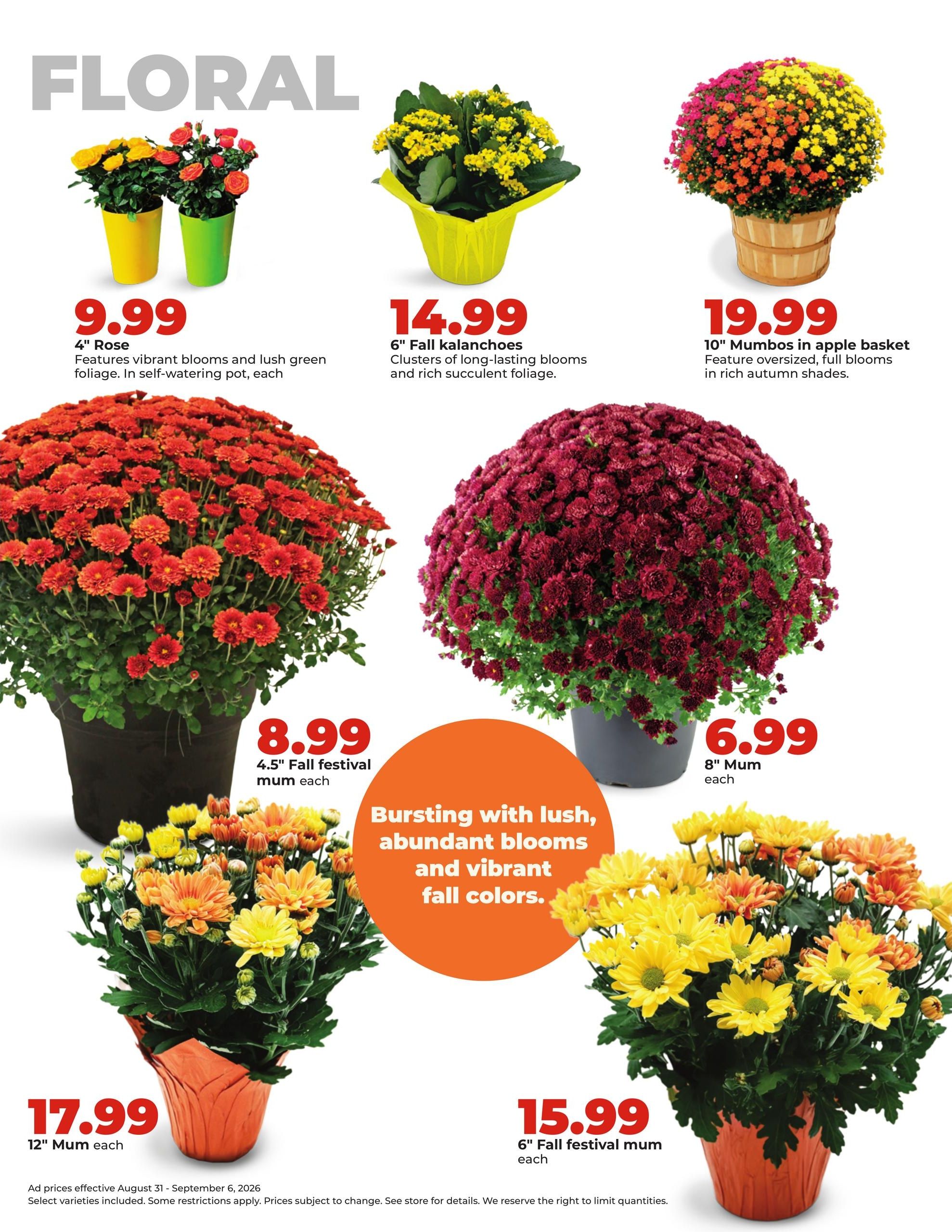 Hy-Vee (Belden-Magnet Area, NE) Weekly Ad August 31 - September 6, 2026