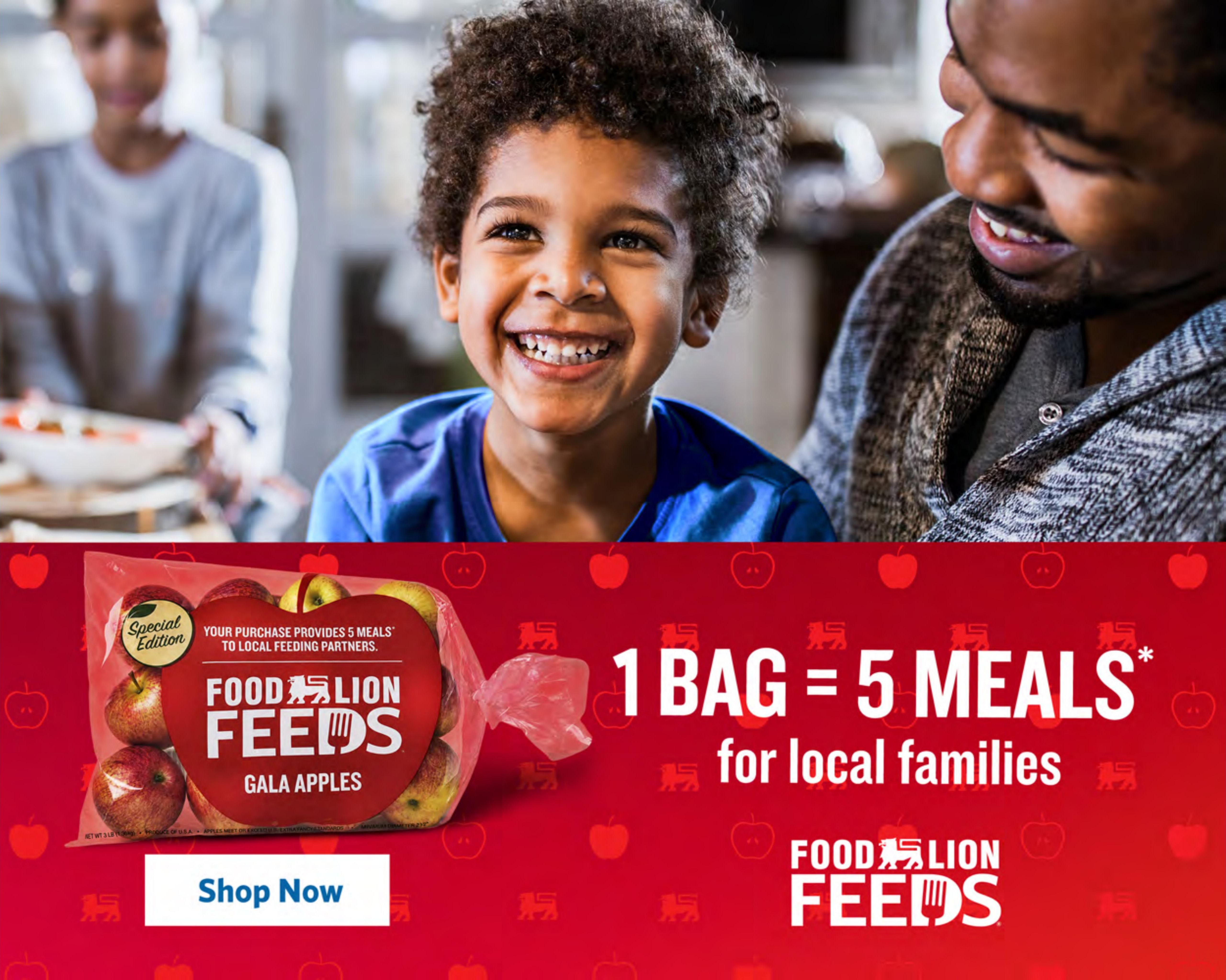 Food Lion (Chattanooga Area, TN) Weekly Ad September 16 - 22, 2026