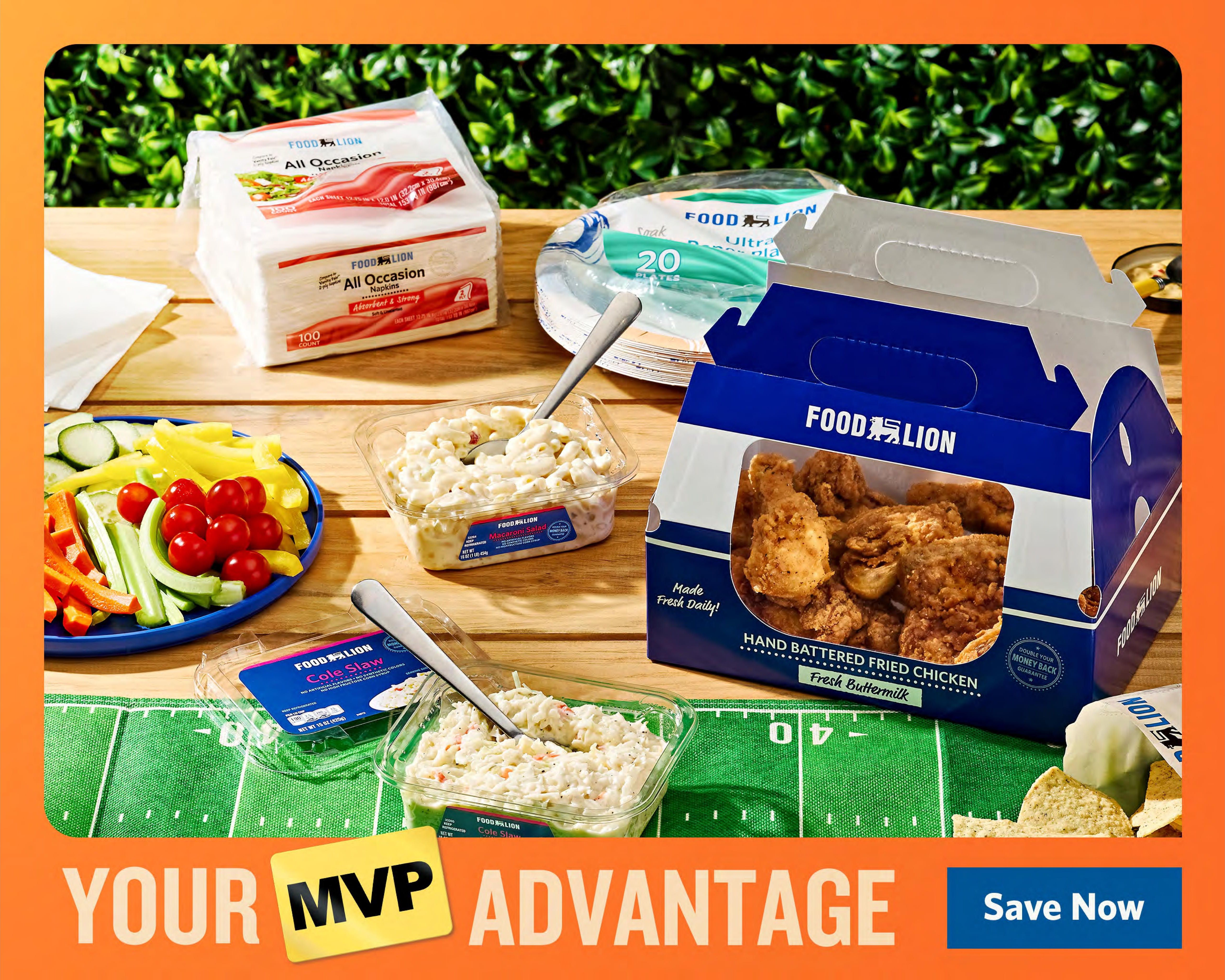 Food Lion (Chattanooga Area, TN) Weekly Ad September 16 - 22, 2026