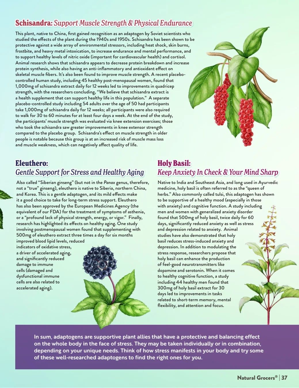 Natural Grocers Health Hotline Magazine Weekly Ad September 25 - October 24, 2026