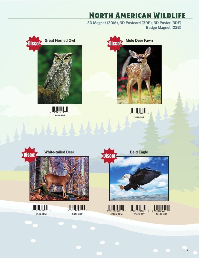 Impact Photographics North American Wildlife Catalog Weekly Ad January 1 - December 31, 2026