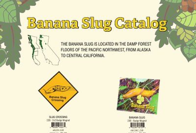Impact Photographics Banana Slug Products Catalog Weekly Ad January 1 - December 31, 2026