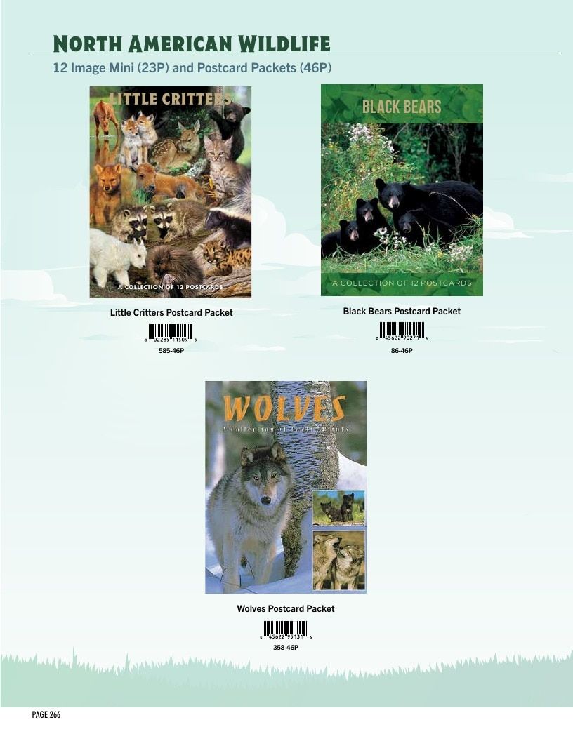 Impact Photographics Stock Products Catalog Weekly Ad January 1 - December 31, 2026