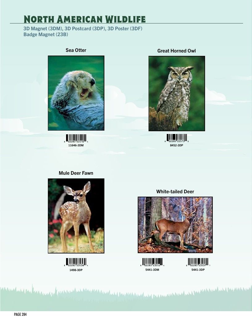Impact Photographics Stock Products Catalog Weekly Ad January 1 - December 31, 2026