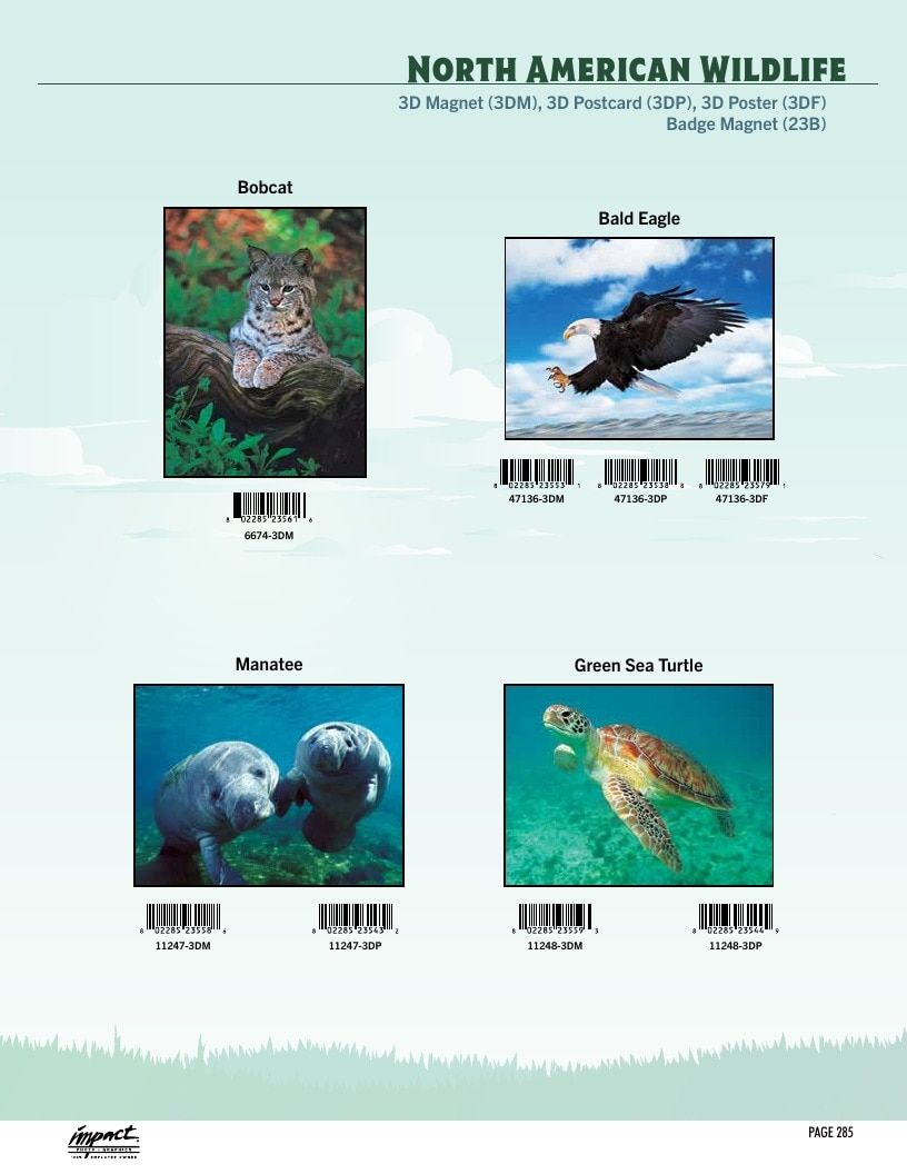 Impact Photographics Stock Products Catalog Weekly Ad January 1 - December 31, 2026