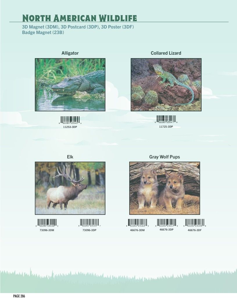 Impact Photographics Stock Products Catalog Weekly Ad January 1 - December 31, 2026
