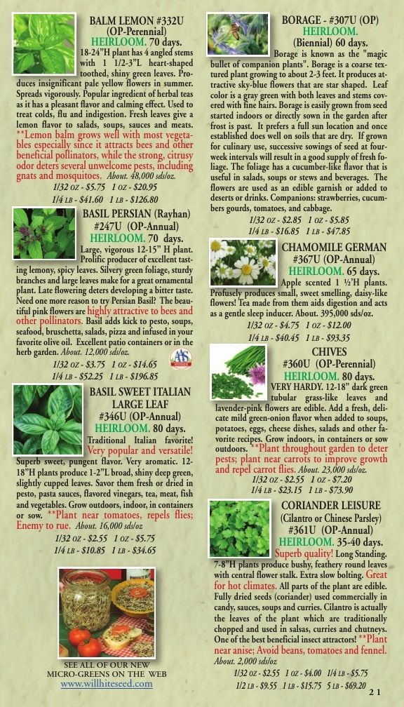 Willhite Seed Seed Catalog Weekly Ad January 1 - December 31, 2026