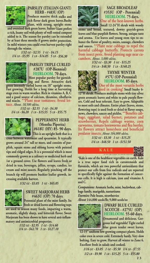 Willhite Seed Seed Catalog Weekly Ad January 1 - December 31, 2026