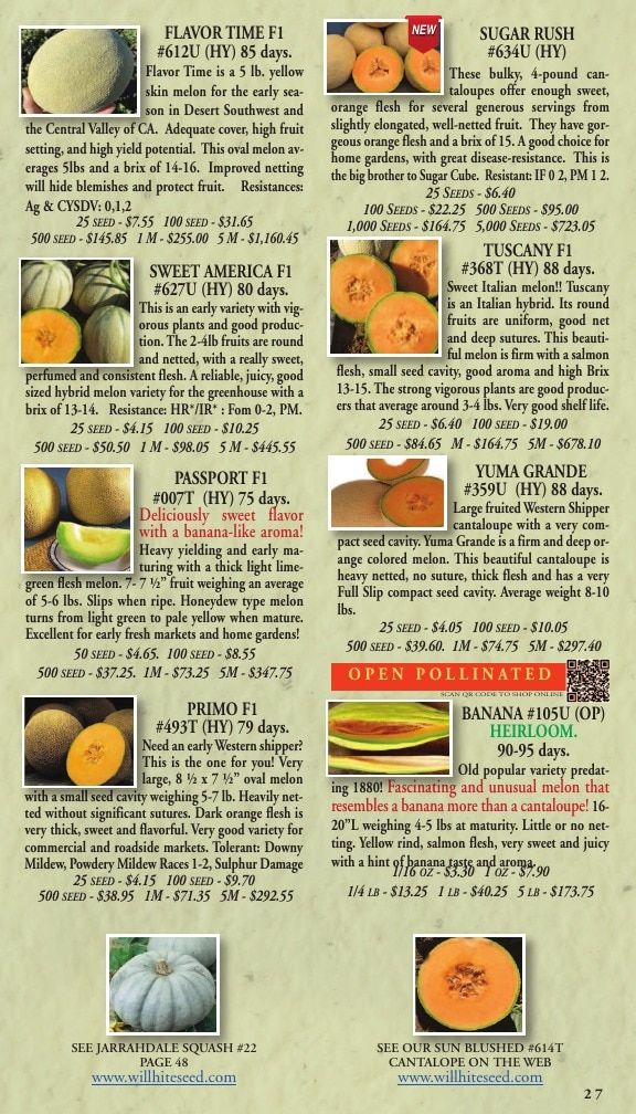 Willhite Seed Seed Catalog Weekly Ad January 1 - December 31, 2026