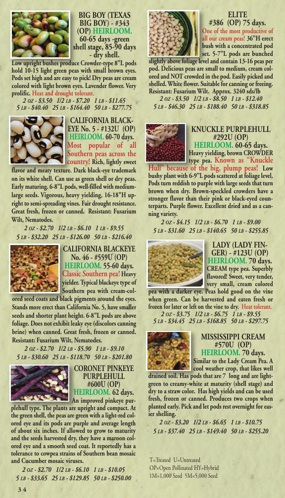 Willhite Seed Seed Catalog Weekly Ad January 1 - December 31, 2026