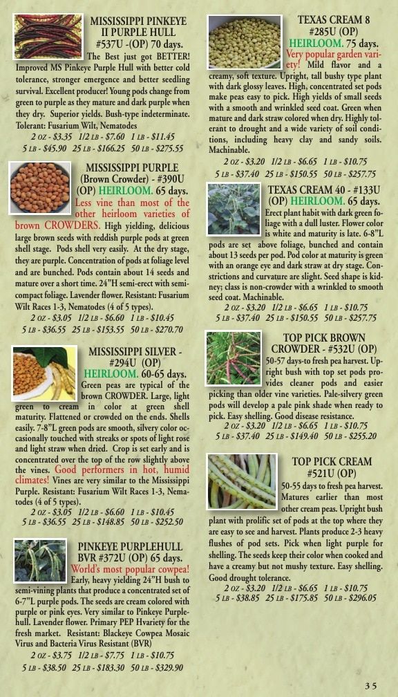 Willhite Seed Seed Catalog Weekly Ad January 1 - December 31, 2026