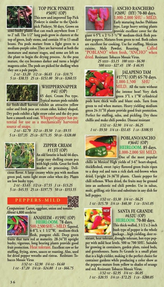 Willhite Seed Seed Catalog Weekly Ad January 1 - December 31, 2026