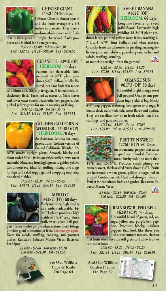 Willhite Seed Seed Catalog Weekly Ad January 1 - December 31, 2026
