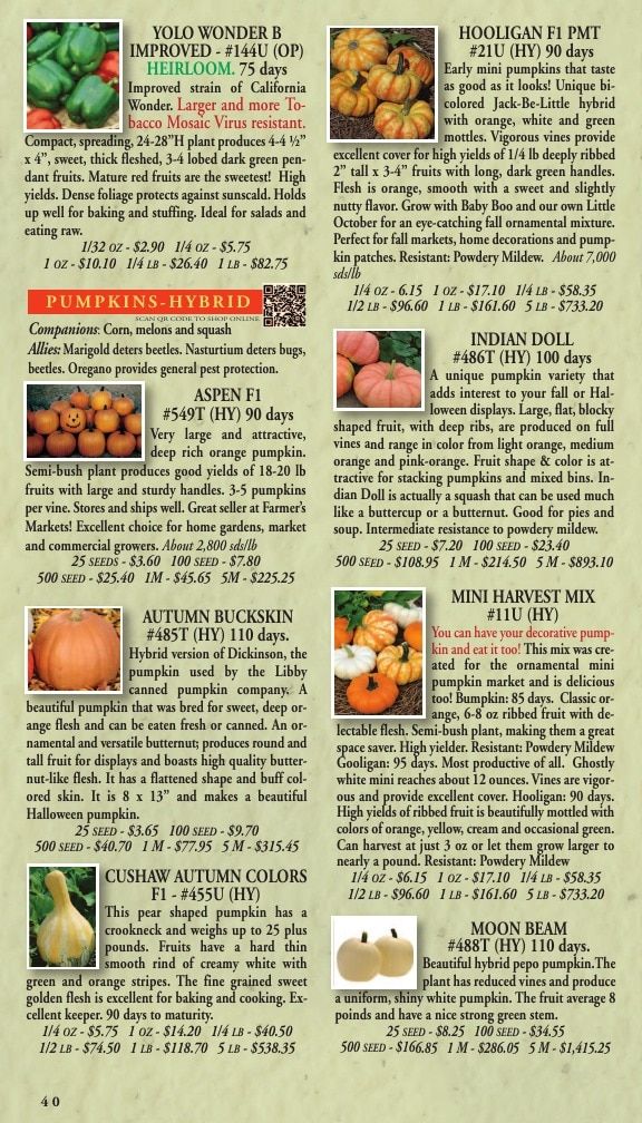 Willhite Seed Seed Catalog Weekly Ad January 1 - December 31, 2026