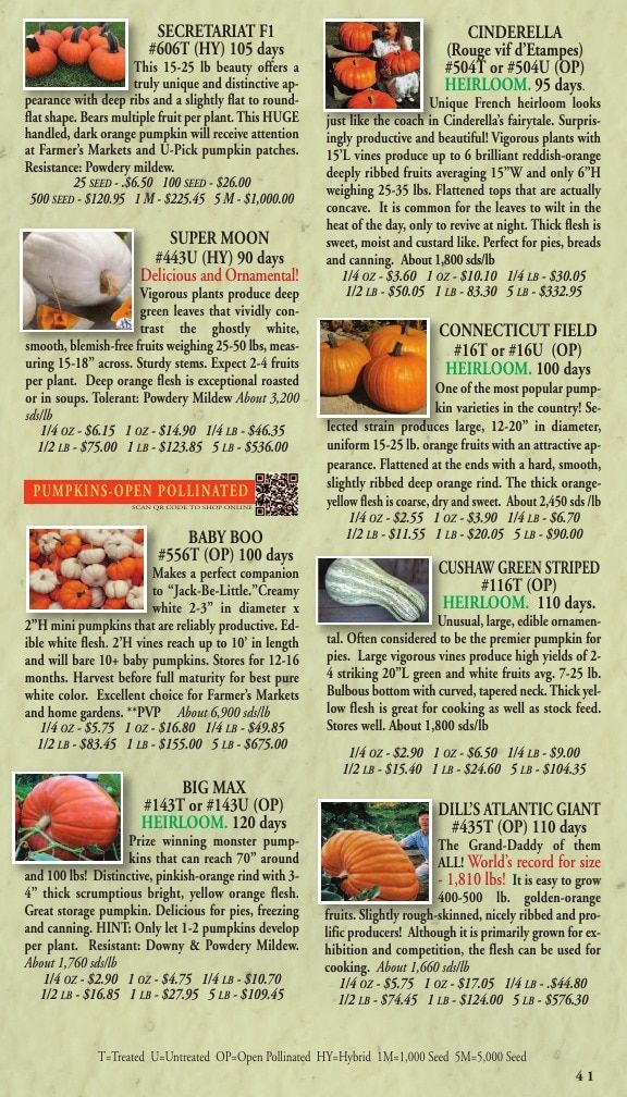 Willhite Seed Seed Catalog Weekly Ad January 1 - December 31, 2026