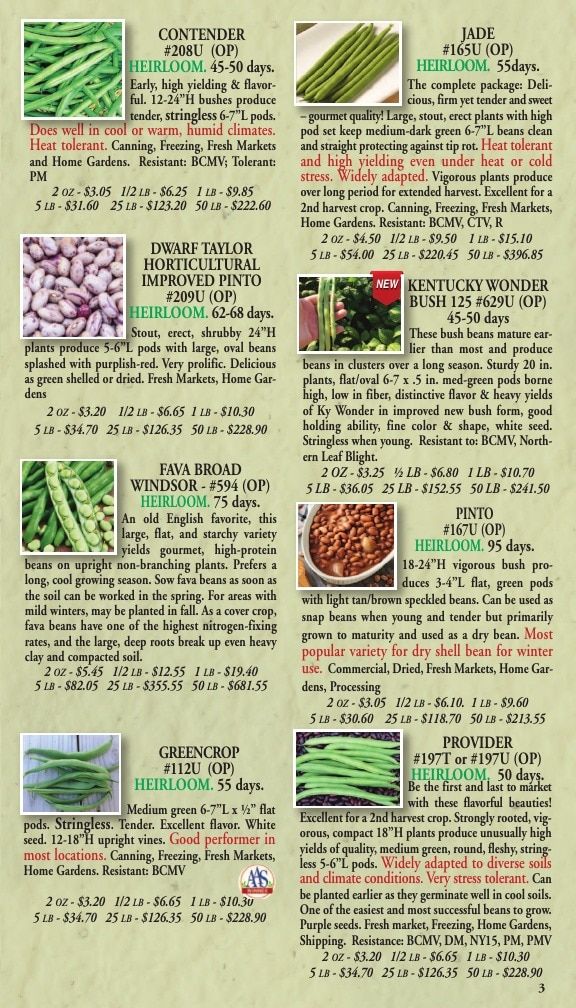Willhite Seed Seed Catalog Weekly Ad January 1 - December 31, 2026