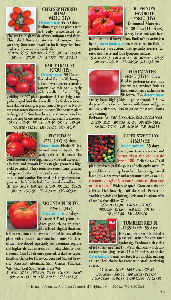 Willhite Seed Seed Catalog Weekly Ad January 1 - December 31, 2026