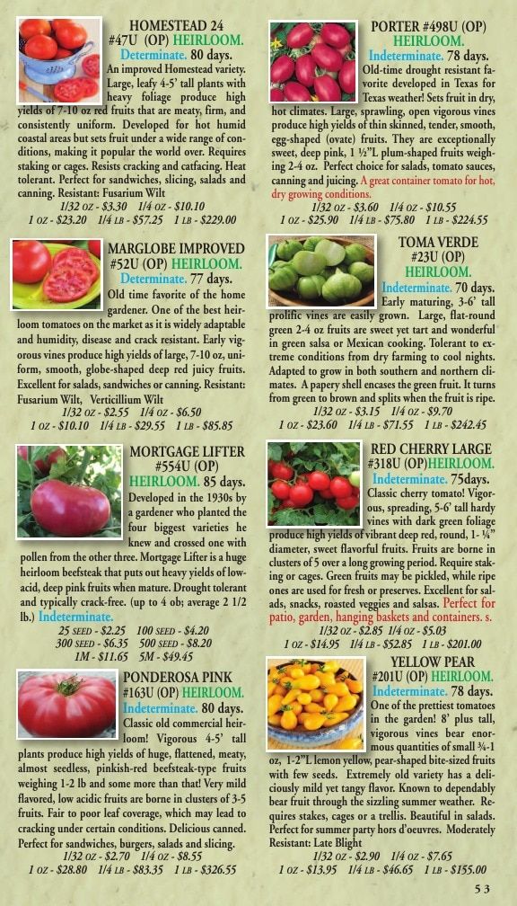 Willhite Seed Seed Catalog Weekly Ad January 1 - December 31, 2026