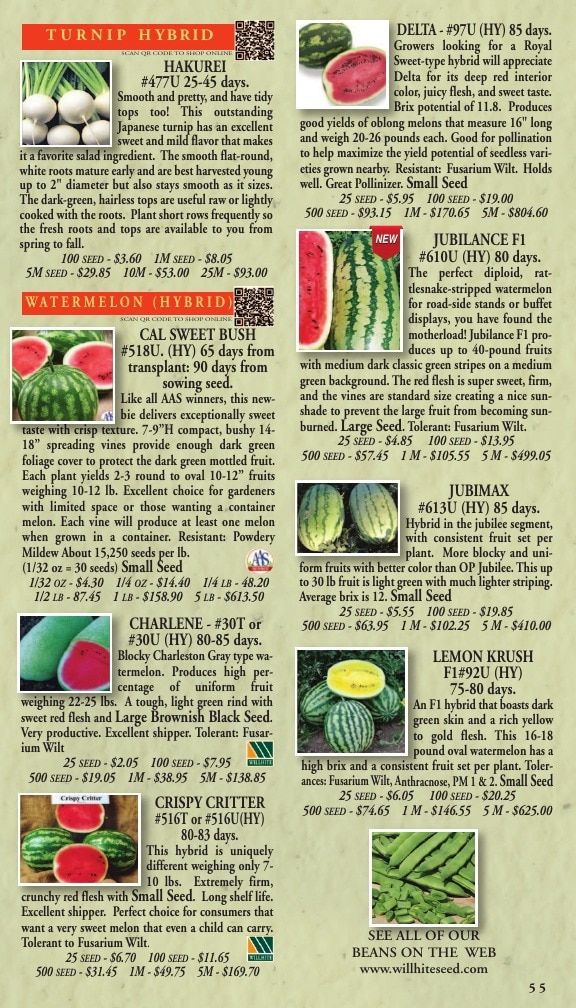 Willhite Seed Seed Catalog Weekly Ad January 1 - December 31, 2026