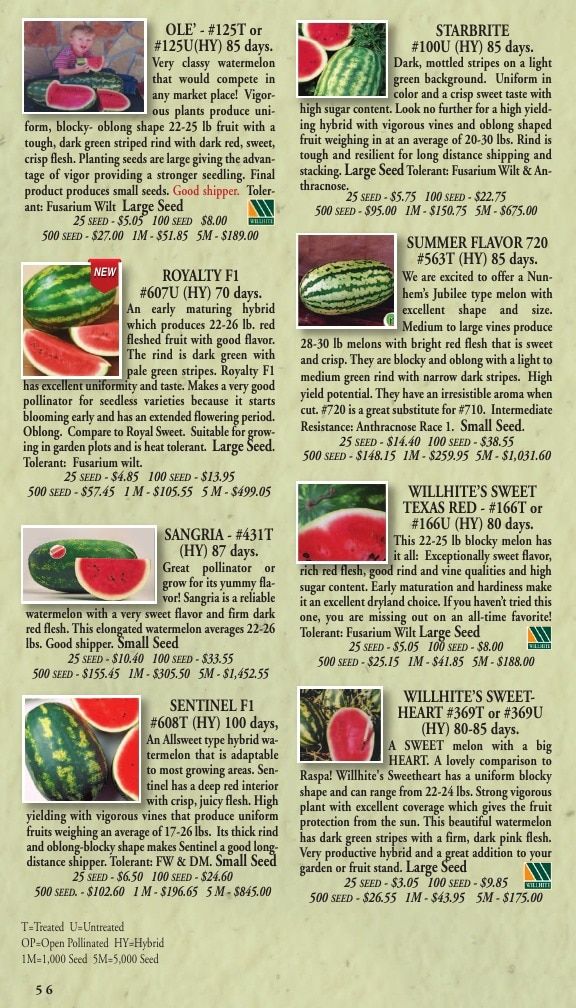 Willhite Seed Seed Catalog Weekly Ad January 1 - December 31, 2026