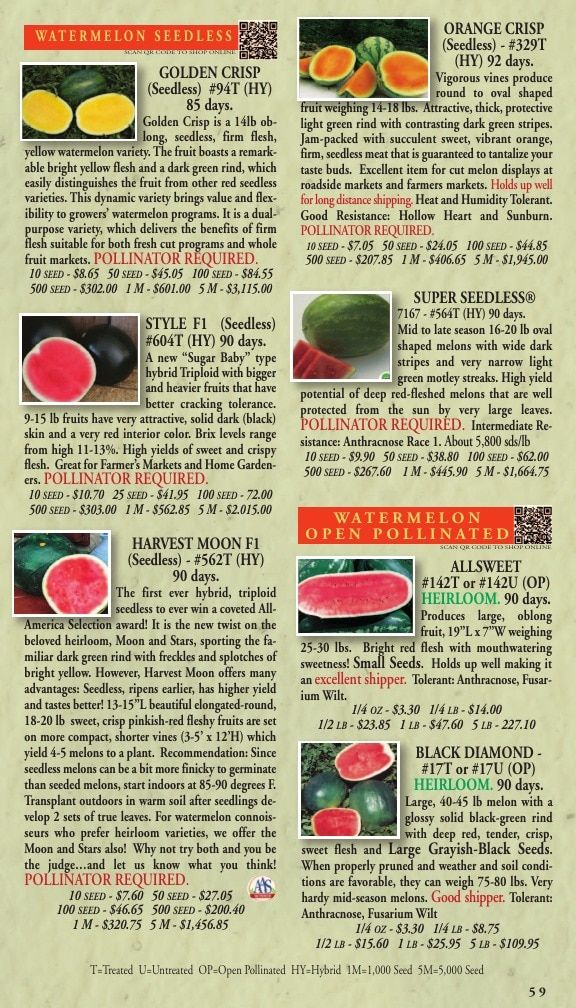 Willhite Seed Seed Catalog Weekly Ad January 1 - December 31, 2026