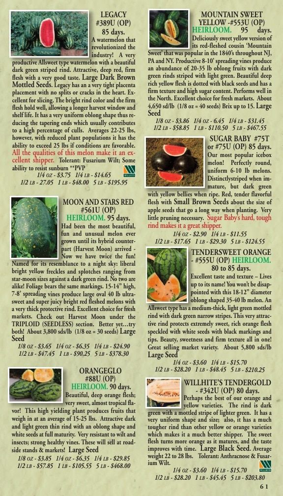 Willhite Seed Seed Catalog Weekly Ad January 1 - December 31, 2026