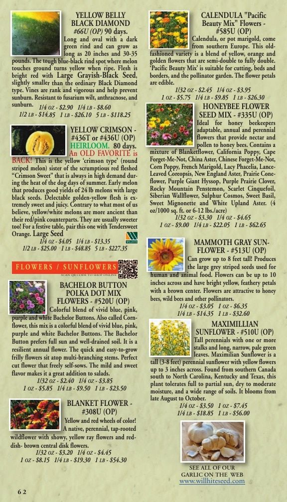 Willhite Seed Seed Catalog Weekly Ad January 1 - December 31, 2026