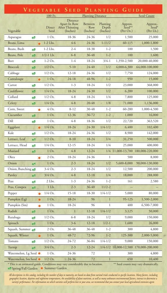 Willhite Seed Seed Catalog Weekly Ad January 1 - December 31, 2026