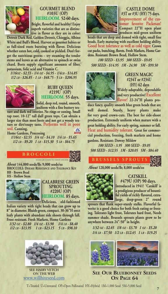 Willhite Seed Seed Catalog Weekly Ad January 1 - December 31, 2026