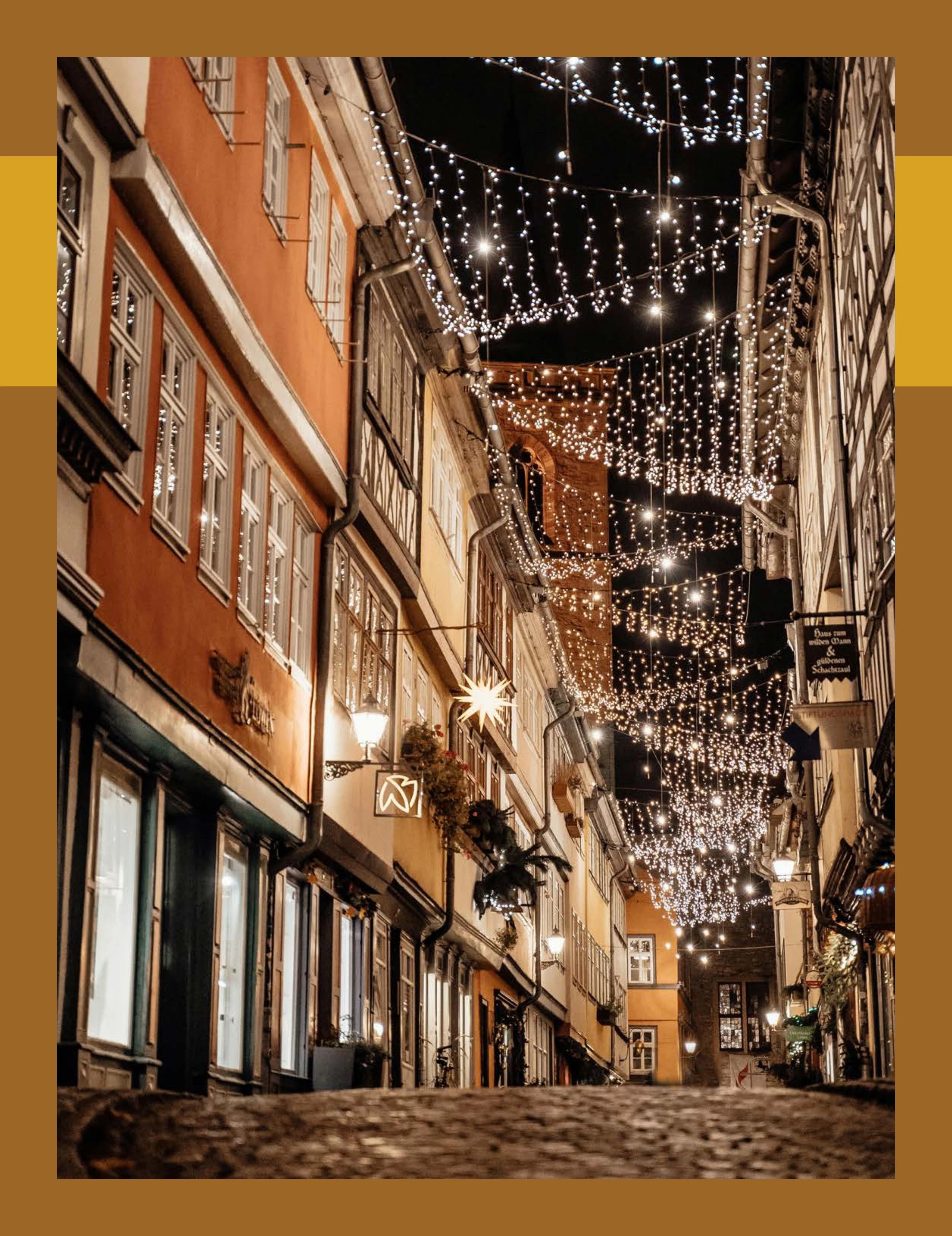 TINSL Seasonal Lighting Catalog Weekly Ad January 1 - December 31, 2026