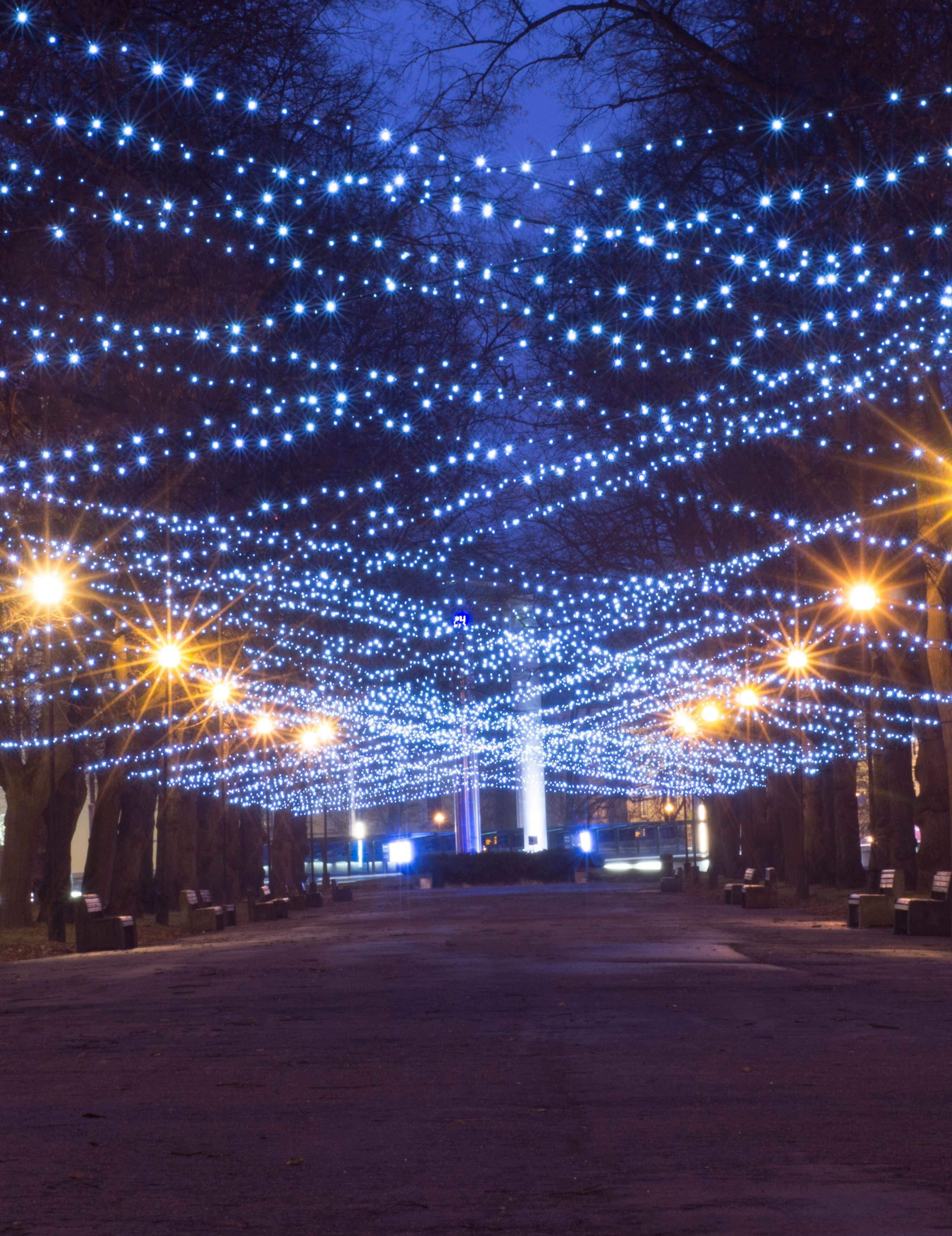 TINSL Seasonal Lighting Catalog Weekly Ad January 1 - December 31, 2026