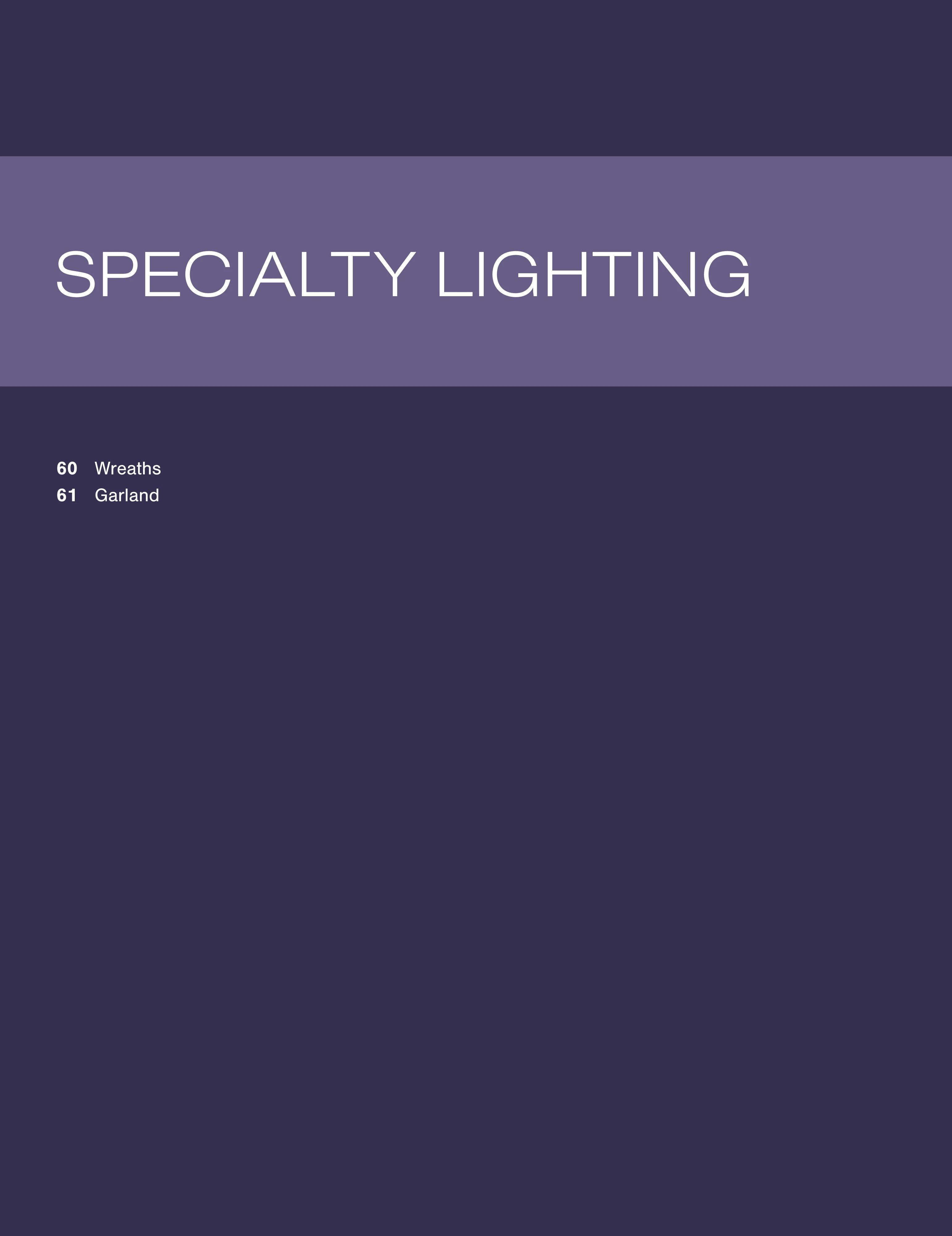 TINSL Seasonal Lighting Catalog Weekly Ad January 1 - December 31, 2026