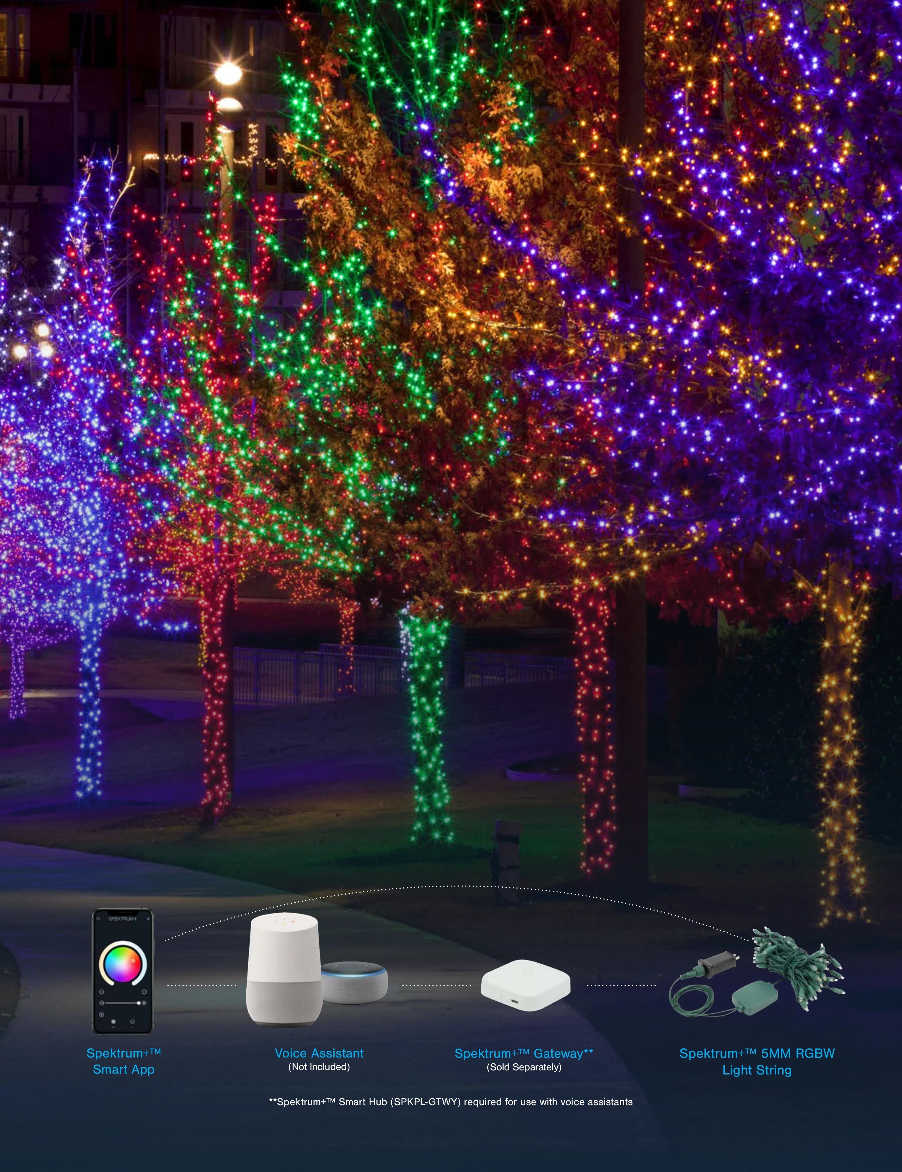 TINSL Seasonal Lighting Catalog Weekly Ad January 1 - December 31, 2026