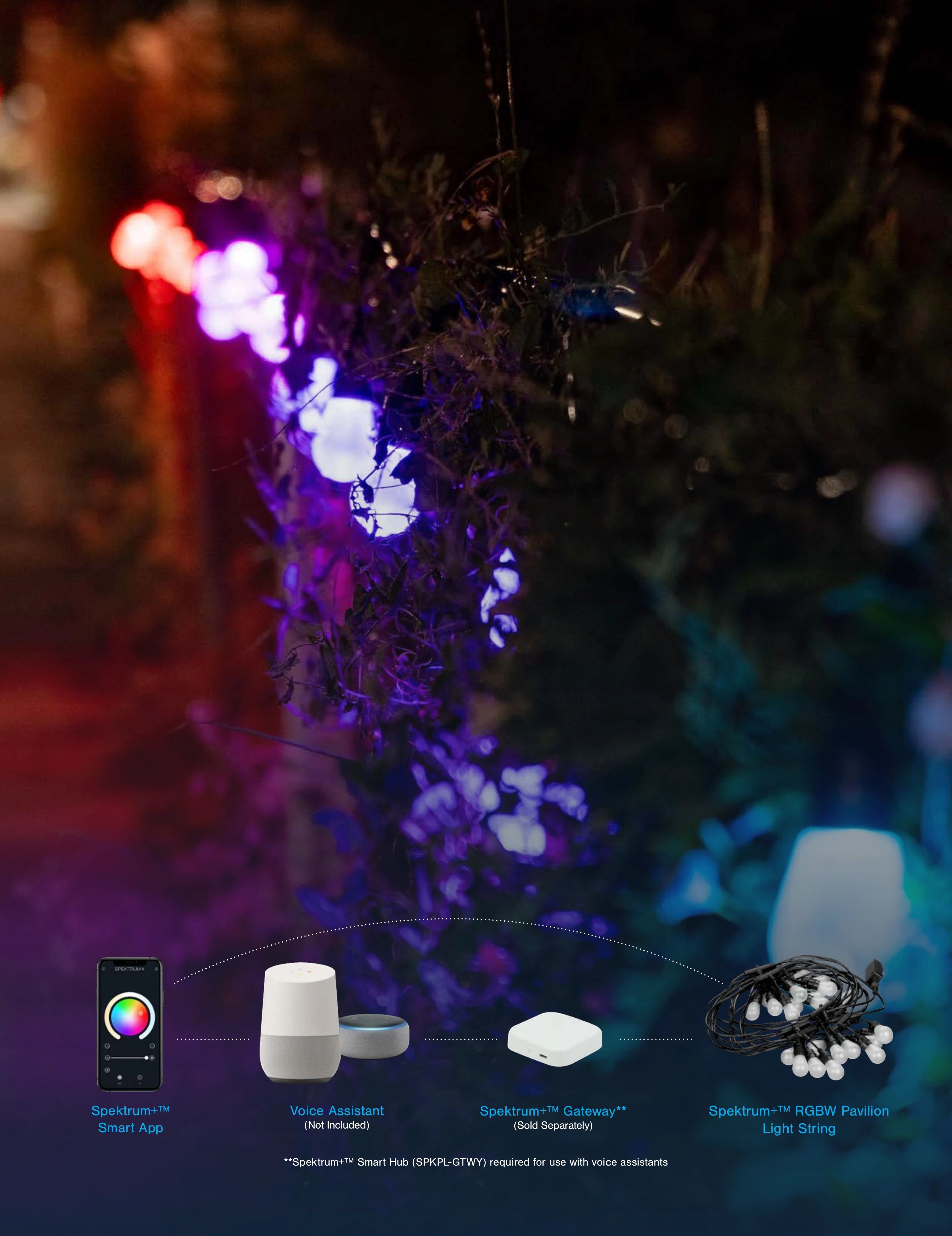 TINSL Seasonal Lighting Catalog Weekly Ad January 1 - December 31, 2026