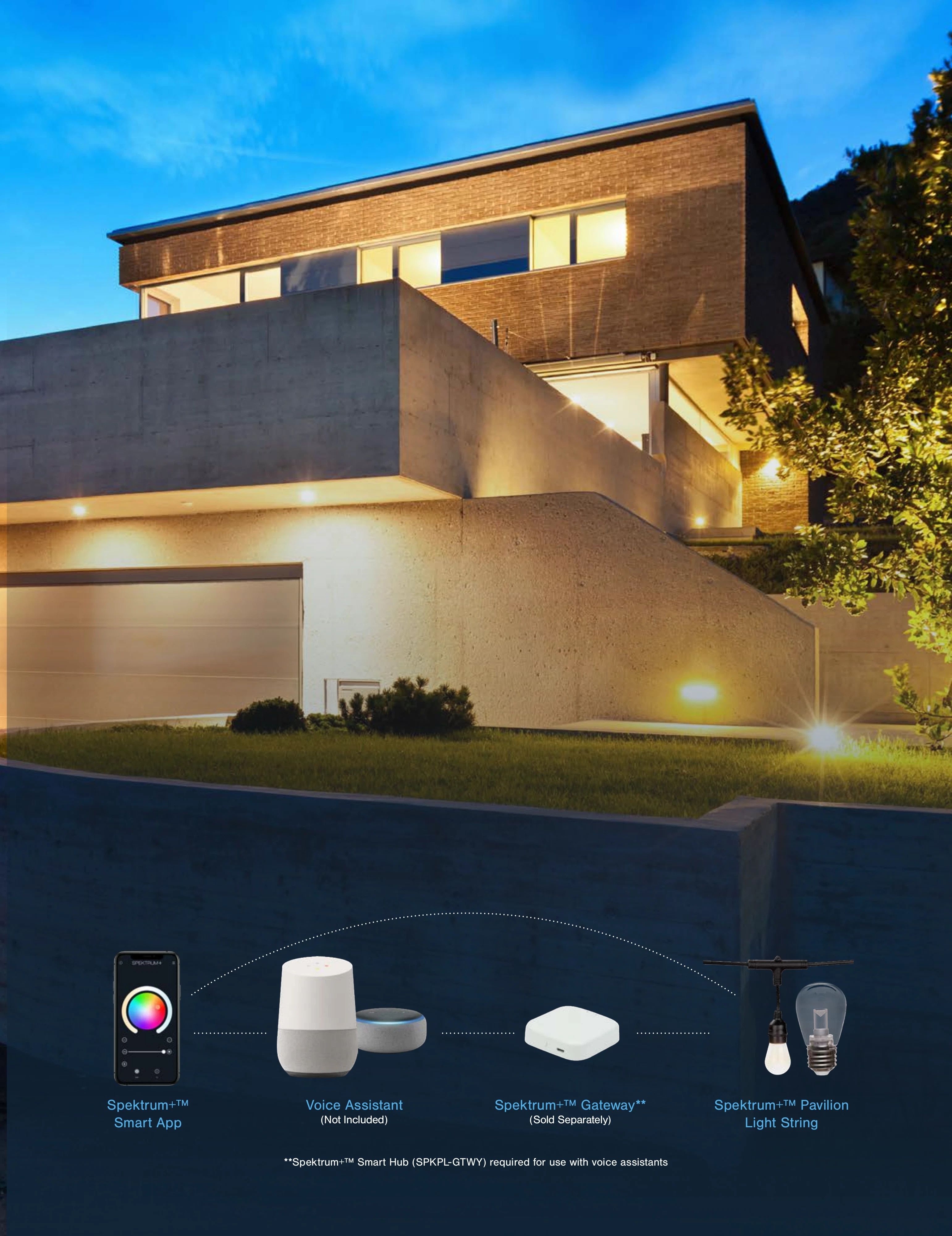 TINSL Seasonal Lighting Catalog Weekly Ad January 1 - December 31, 2026
