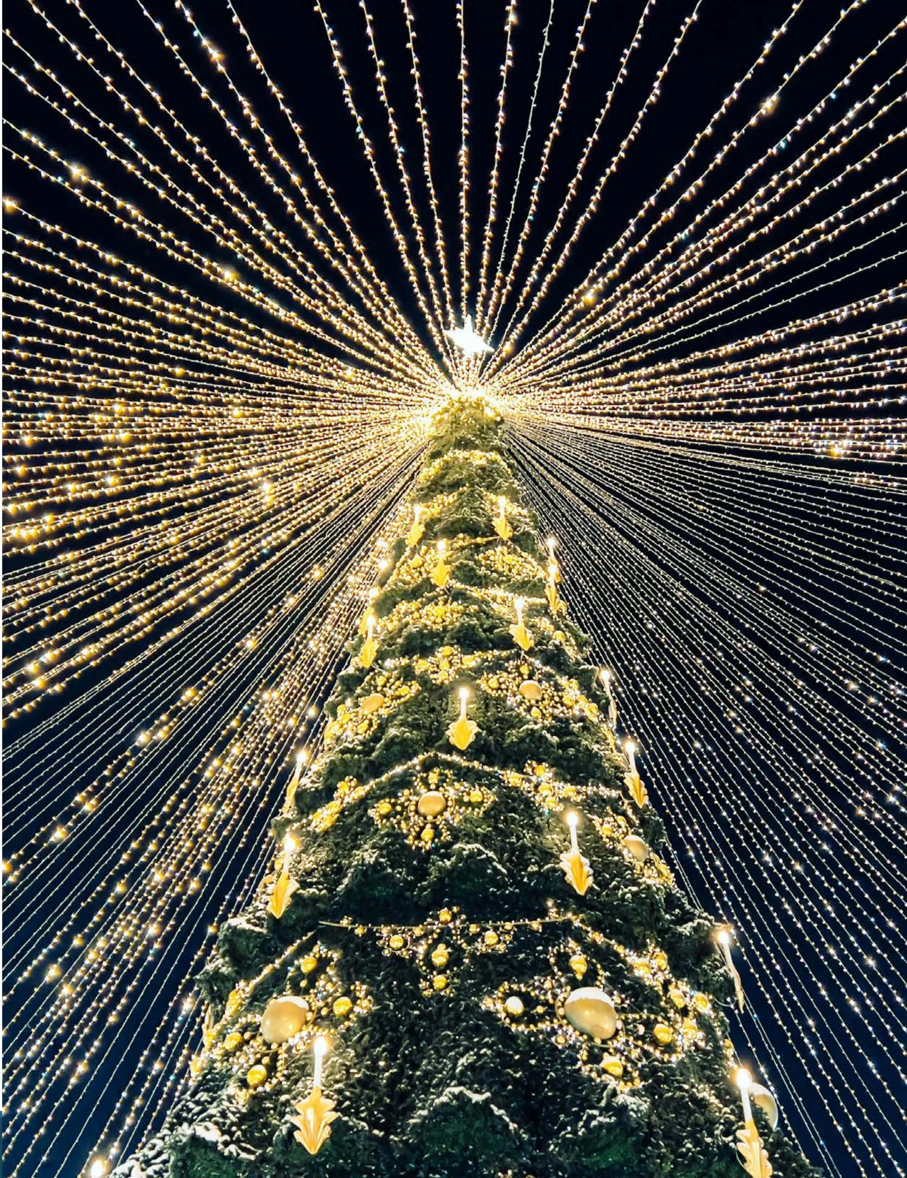 TINSL Seasonal Lighting Catalog Weekly Ad January 1 - December 31, 2026