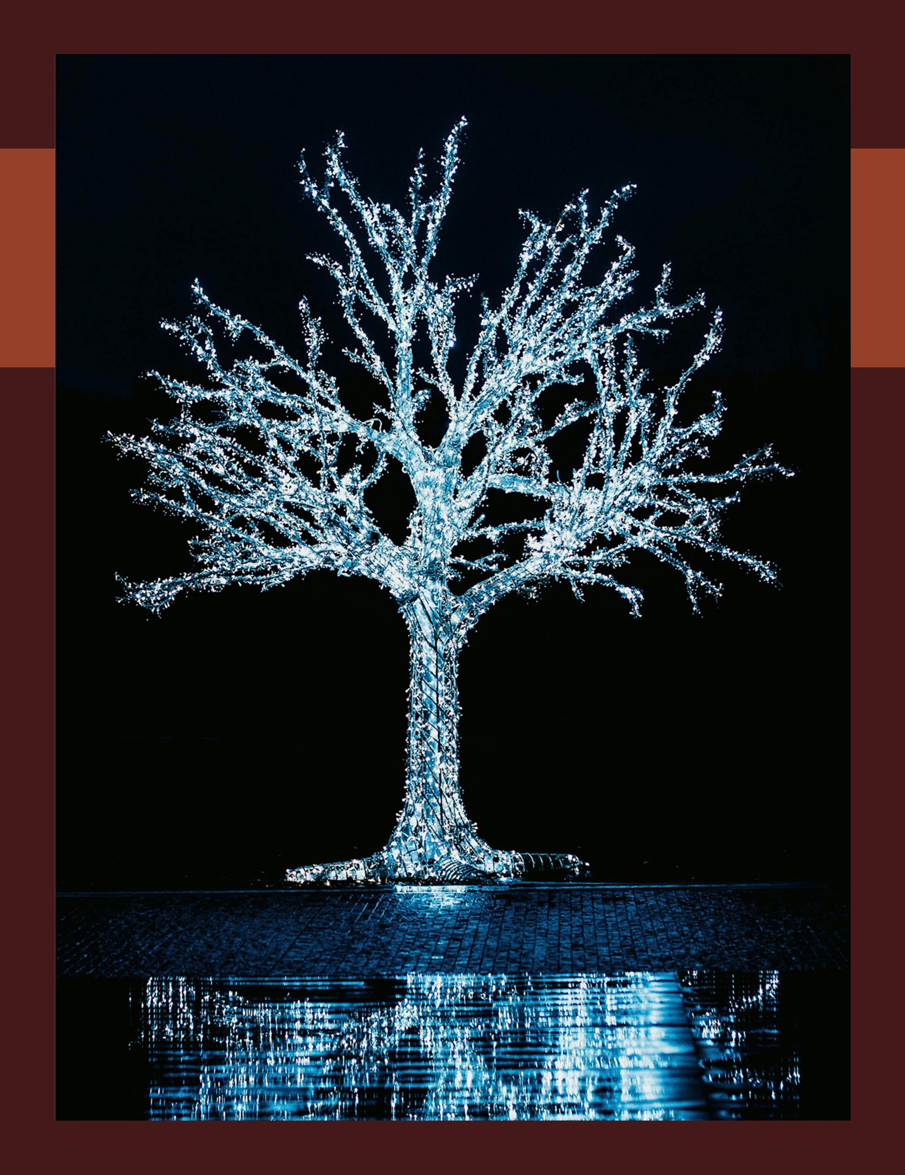 TINSL Seasonal Lighting Catalog Weekly Ad January 1 - December 31, 2026